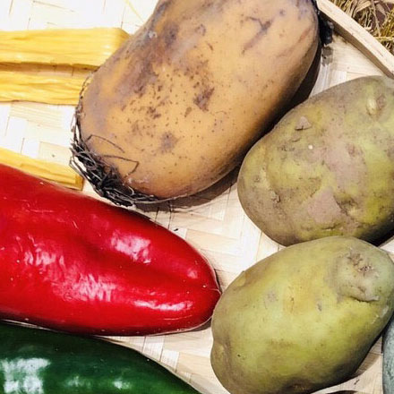 深圳vi設(shè)計(jì)作品案例展示