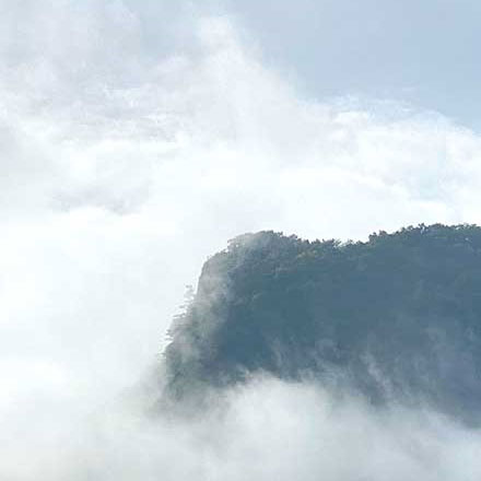 深圳vi設(shè)計(jì)作品案例展示