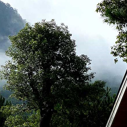 深圳vi設(shè)計(jì)作品案例展示